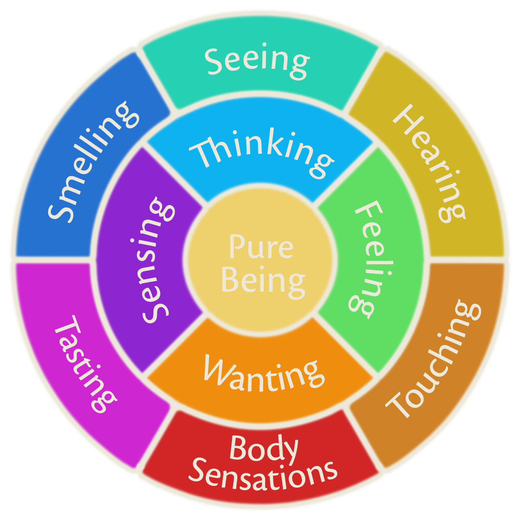 illustration theory of human experience